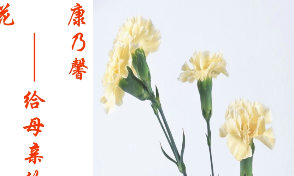 八年级语文上 爱莲说 课件人教版 课件