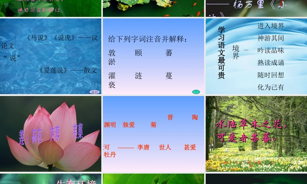 八年级语文上 爱莲说 课件人教版 课件