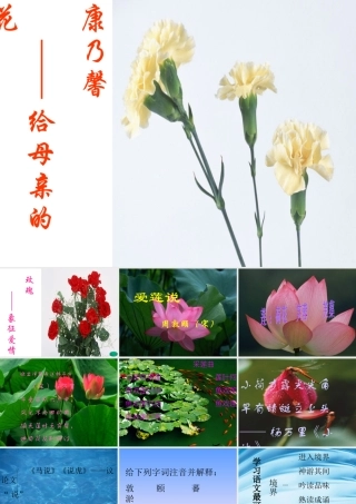 八年级语文上 爱莲说 课件人教版 课件