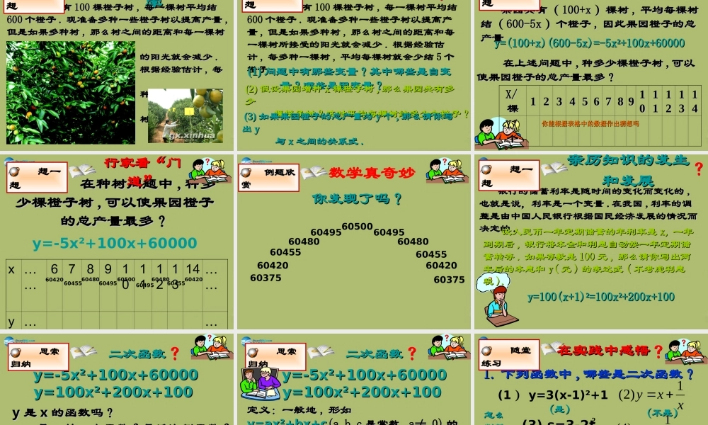 九年级数学下册 261 二次函数课件2 (新版)华东师大版 课件
