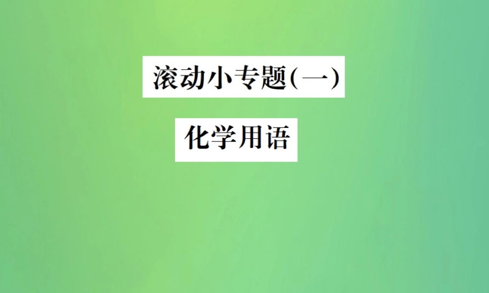 中考化学总复习 滚动小专题(一)化学用语课件