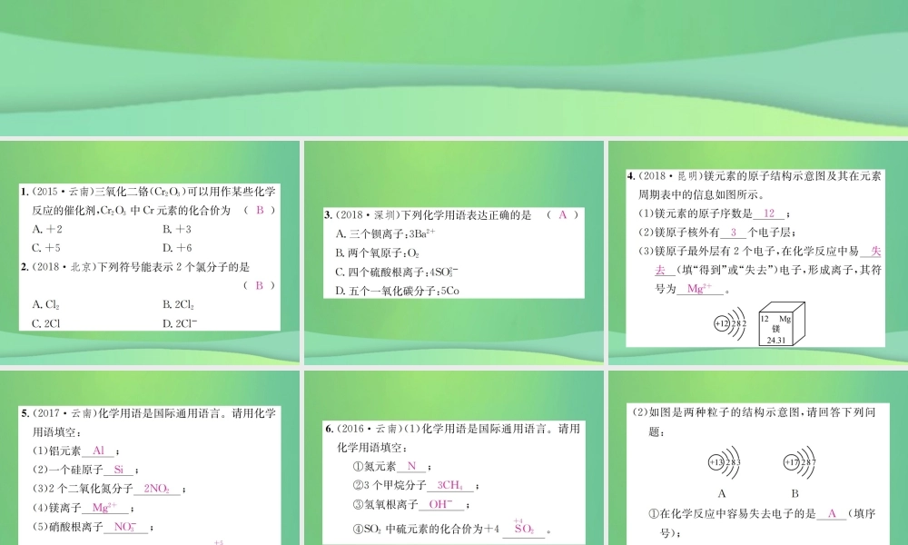 中考化学总复习 滚动小专题(一)化学用语课件