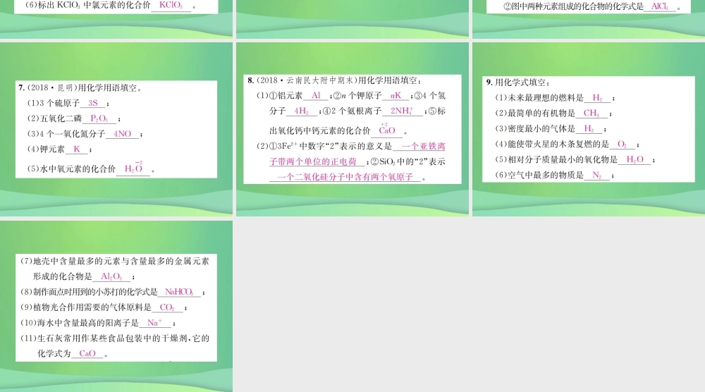 中考化学总复习 滚动小专题(一)化学用语课件