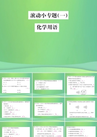 中考化学总复习 滚动小专题(一)化学用语课件