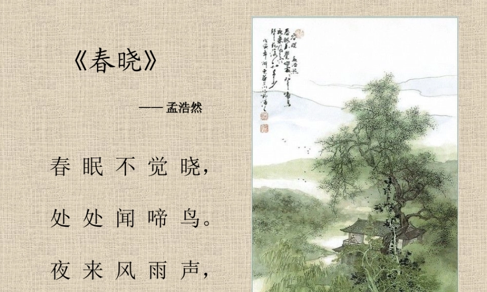 八年级生物 第二学期(试验本)第5章第二节 生物与环境 生物与生物间的关系课件 上海版 课件