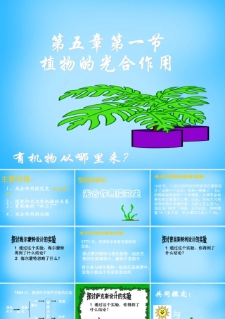 中学七年级生物上册 3.4.1(植物的光合作用)课件 (新版)苏科版 课件