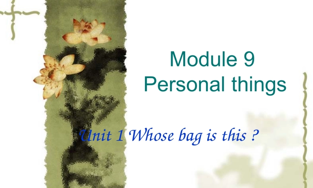 七年级英语Module 9 Unit1 Whose bag is this 课件外研版 课件