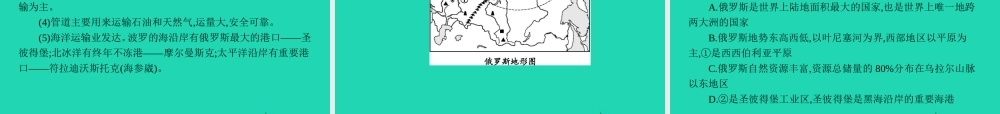 中考地理 第一编 基础篇 第二部分 世界地理下第8课时 印度 俄罗斯课件