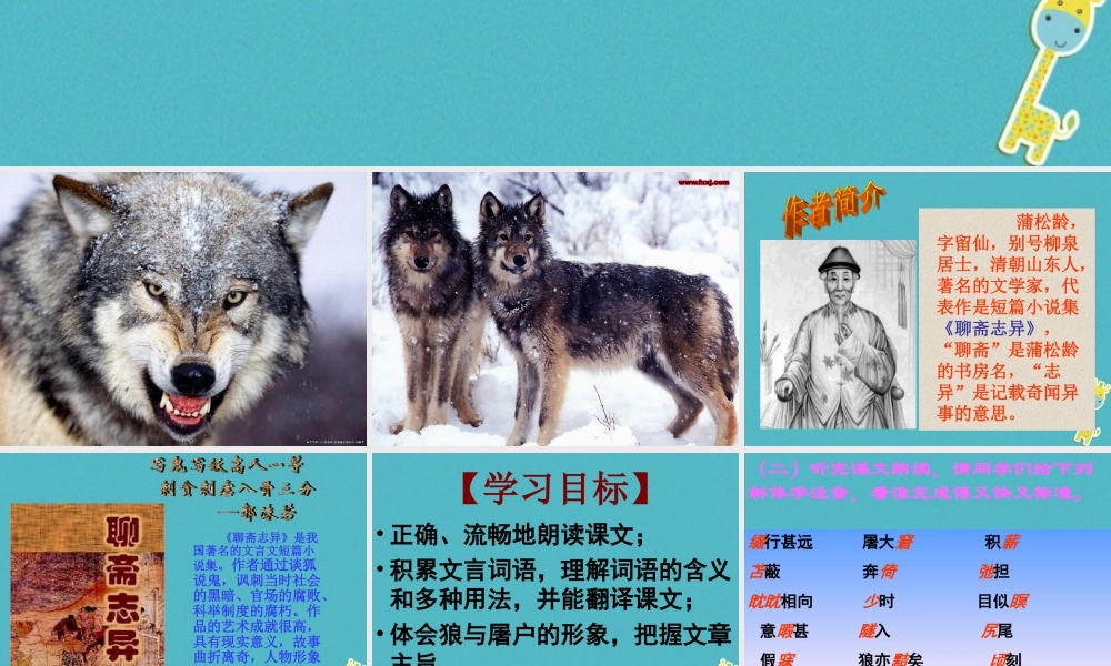 七年级语文上册 第五单元 18(狼)公开课课件 新人教版 课件