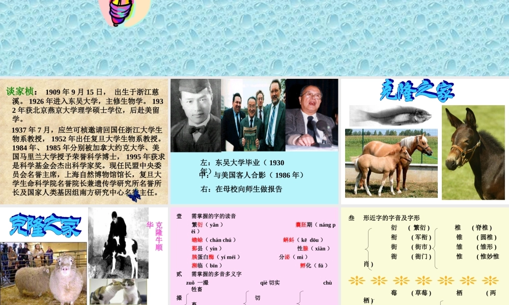 八年级语文(奇妙的克隆)课件 ppt 课件