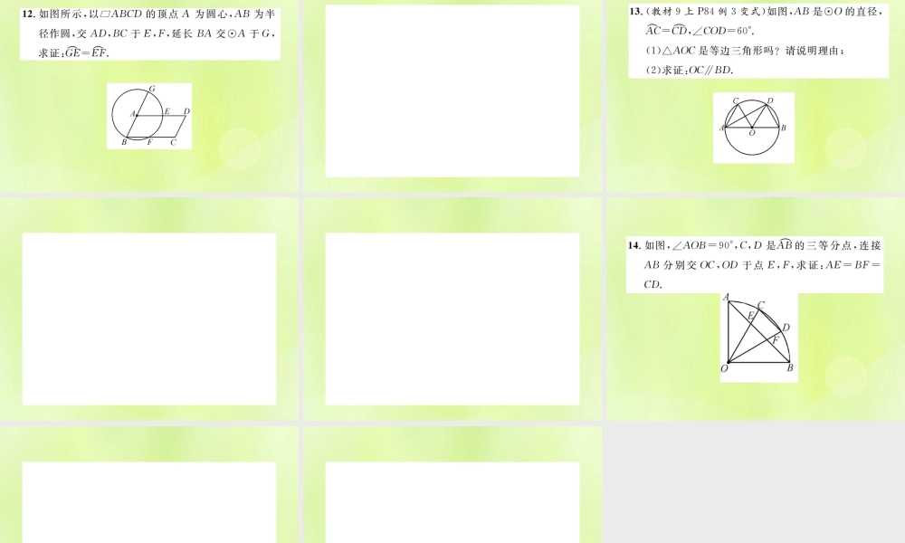 九年级数学上册 第二十四章 圆 241 圆的有关性质 2413 弧、弦、圆心角课件 (新版)新人教版 课件