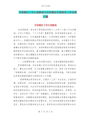 市供销社工作计划新选与市供销社年度财务工作安排汇编