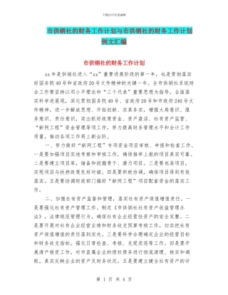 市供销社的财务工作计划与市供销社的财务工作计划例文汇编