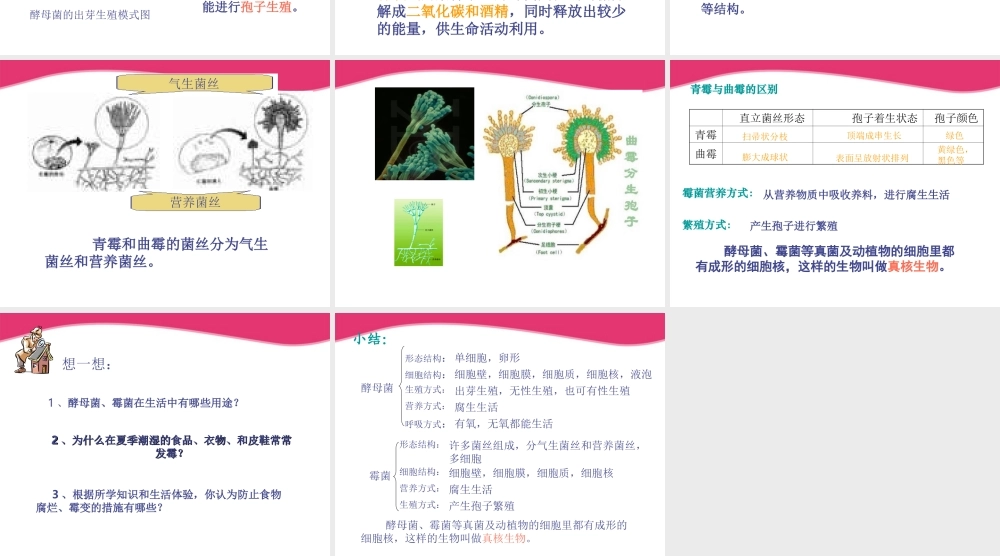 八年级生物上册 真菌的控制和利用课件 冀教版 课件