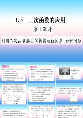 九年级数学下册 第1章 二次函数 15 二次函数的应用 第1课时 利用二次函数解决实物抛物线问题、面积问题作业课件 (新版)湘教版 课件
