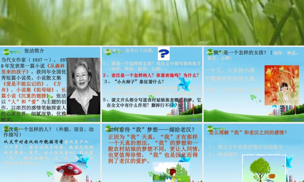 七年级语文上册 第7课(拣麦穗)课件 冀教版 课件