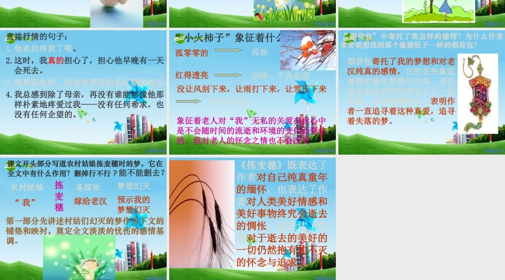 七年级语文上册 第7课(拣麦穗)课件 冀教版 课件