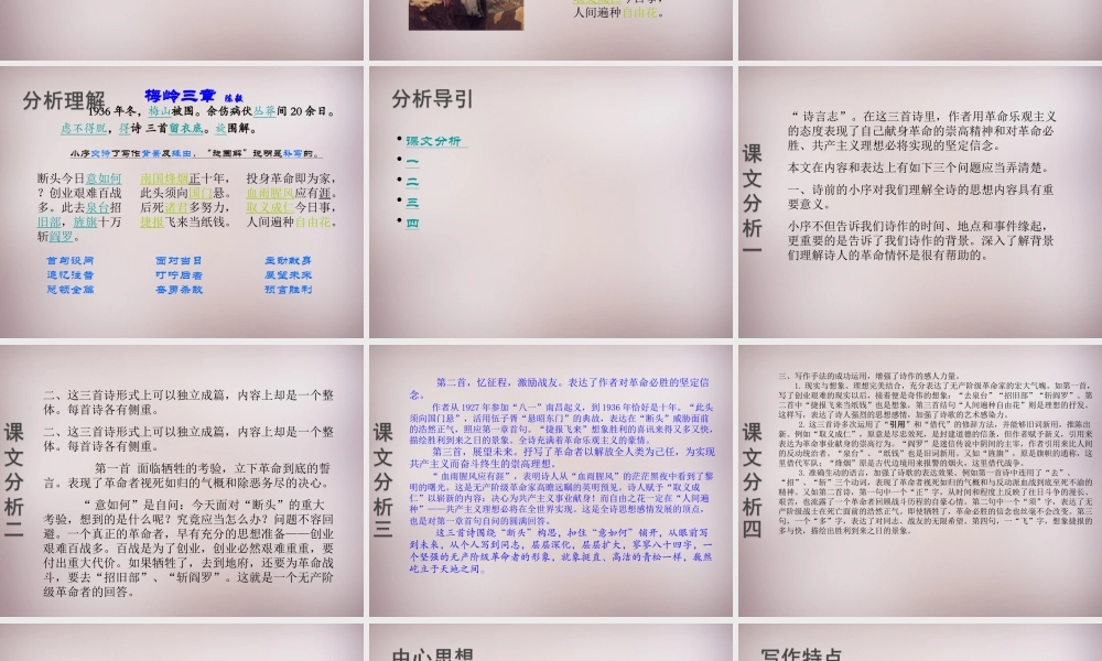 七年级语文上册 第五单元 第梅岭三章)课件 沪教版五四制 课件