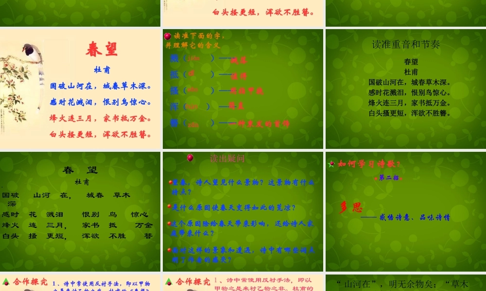 八年级语文上册 9(古诗四首)春望课件 苏教版 课件