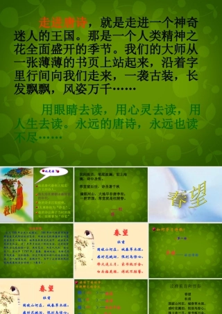 八年级语文上册 9(古诗四首)春望课件 苏教版 课件