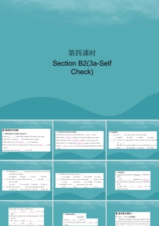 九年级英语全册 Unit 5 What are the shirts made of(第4课时)Section B2(3a Self Check)习题课件 (新版)人教新目标版 课件