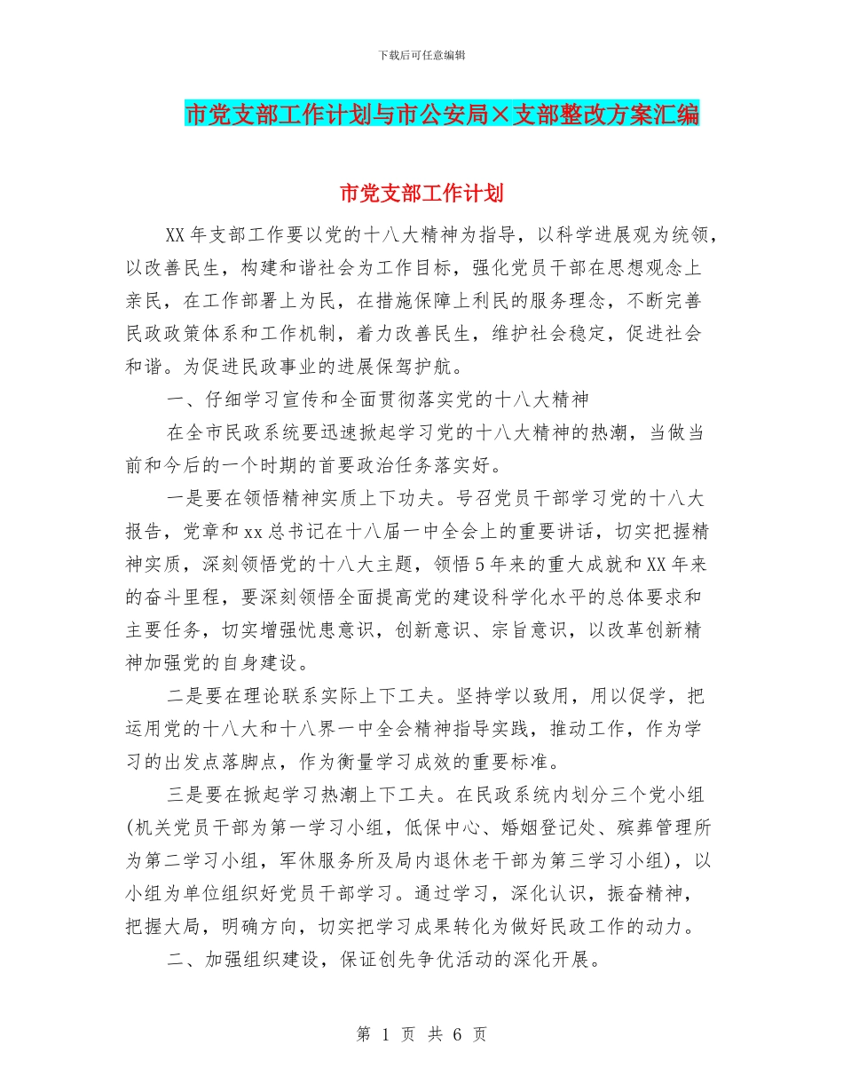 市党支部工作计划与市公安局×支部整改方案汇编_第1页