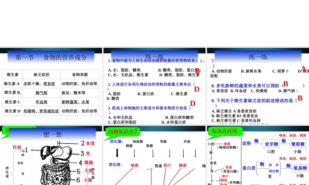 九年级生物 第二节消化和吸收课件 人教新课标版 课件