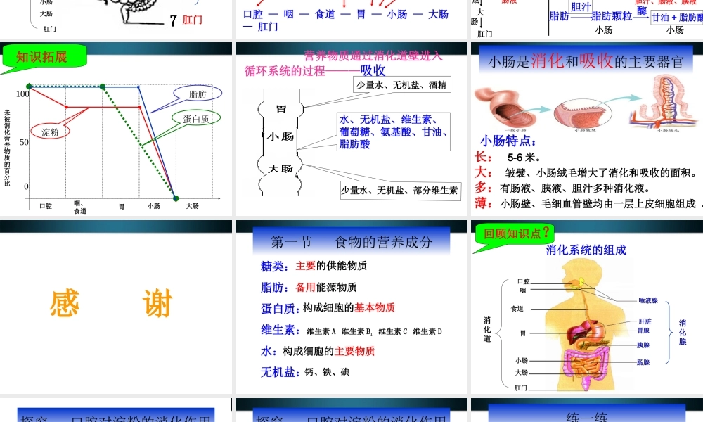九年级生物 第二节消化和吸收课件 人教新课标版 课件