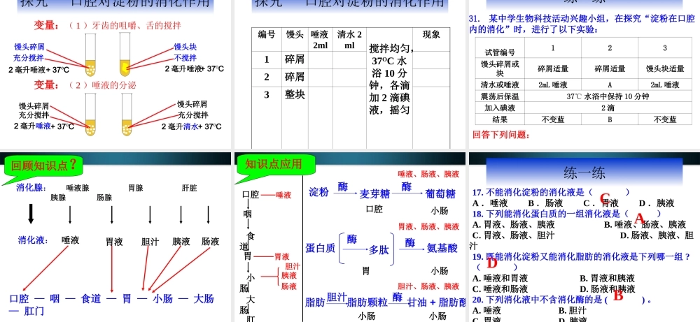 九年级生物 第二节消化和吸收课件 人教新课标版 课件