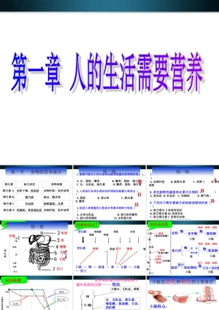 九年级生物 第二节消化和吸收课件 人教新课标版 课件
