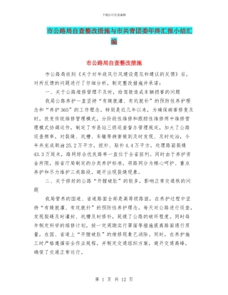 市公路局自查整改措施与市共青团委年终汇报小结汇编