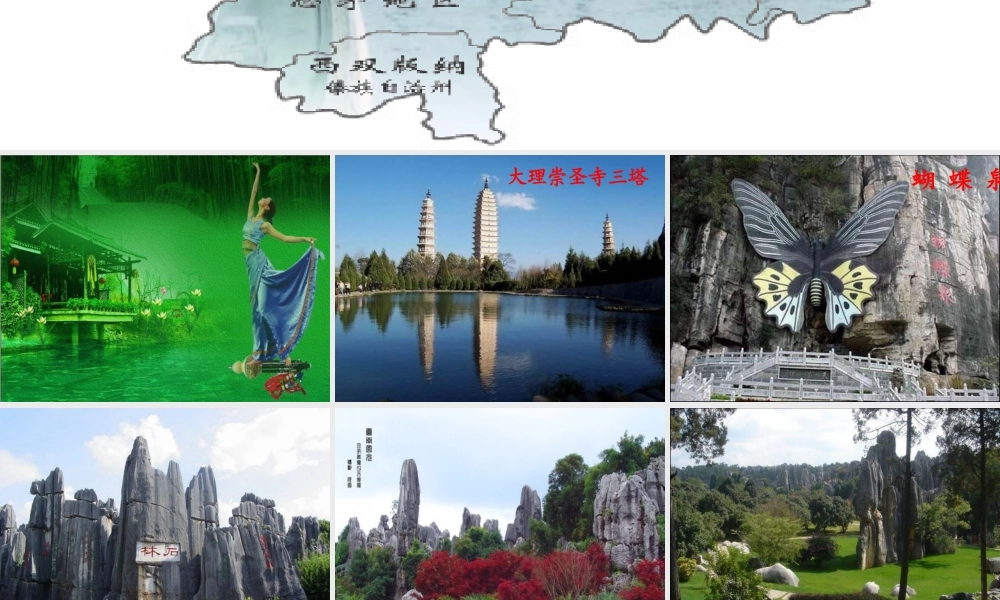 八年级语文下册 16(云南的歌会)课件 新人教版 课件