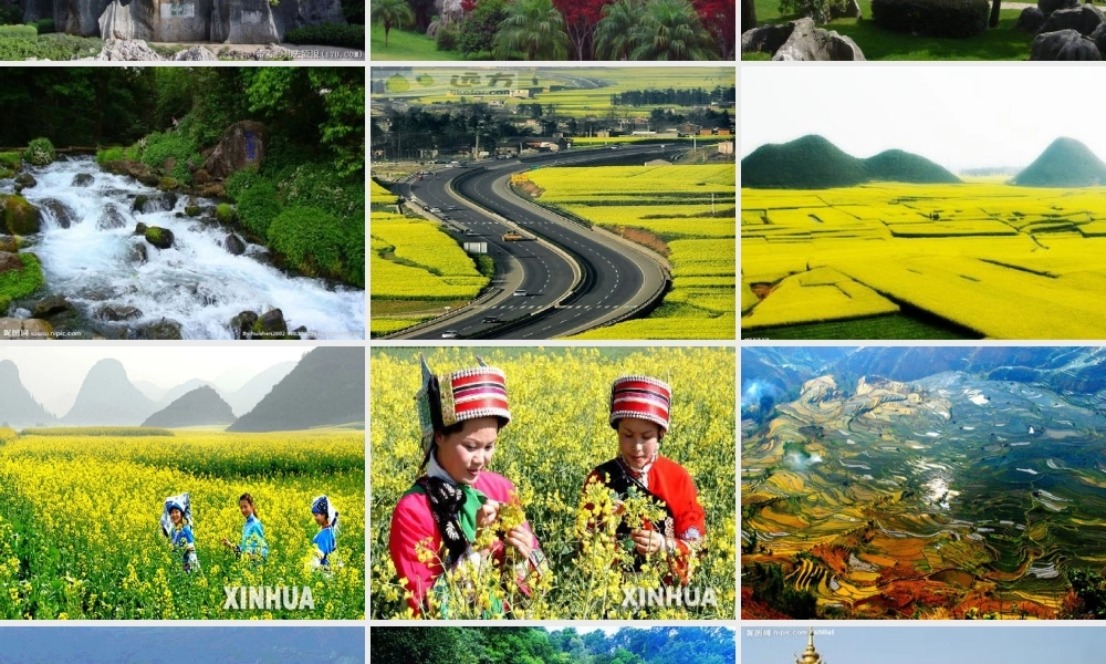 八年级语文下册 16(云南的歌会)课件 新人教版 课件