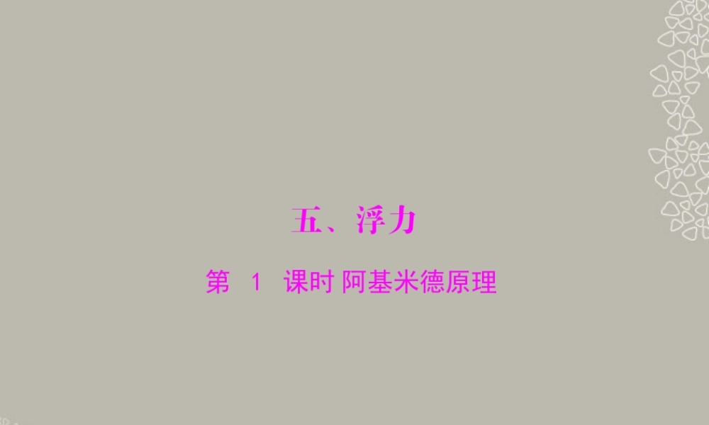 九年级物理上册 第十四章 压强和浮力 五(浮力)第1课时 阿基米德原理课件 人教新课标版 课件