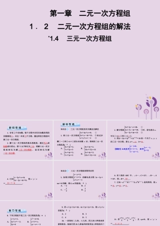 七年级数学下册 第1章(二元一次方程组)1.4 三元一次方程组习题课件 (新版)湘教版 课件