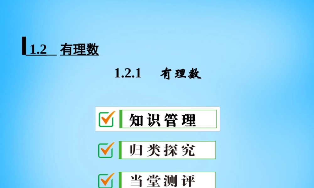 中学七年级数学上册 1.2.1 有理数课件 (新版)新人教版