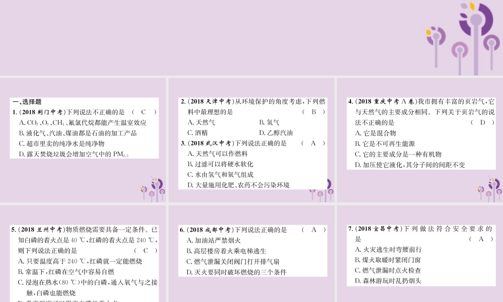 中考化学总复习 第1编 主题复习 模块4 化学与社会发展 课时14 能源的利用和环境保护(精练)课件
