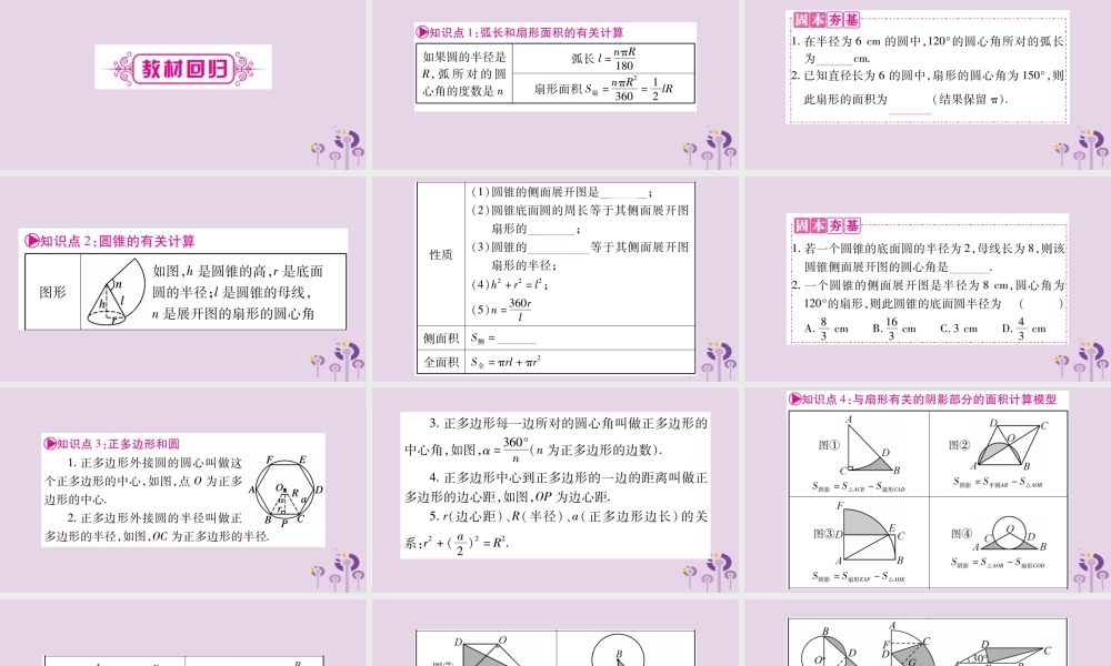 中考数学复习 第一轮 考点系统复习 第6章 圆 第3节 与圆有关的计算导学课件