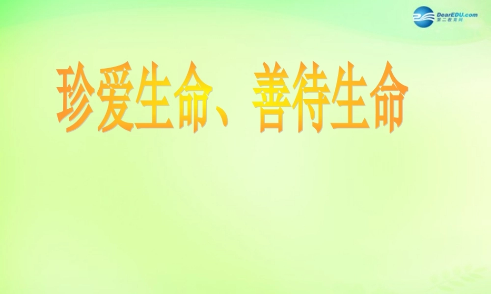 中学七年级政治下册 珍爱生命 善待生命课件 粤教版 课件