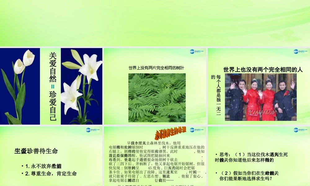 中学七年级政治下册 珍爱生命 善待生命课件 粤教版 课件