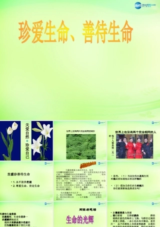 中学七年级政治下册 珍爱生命 善待生命课件 粤教版 课件