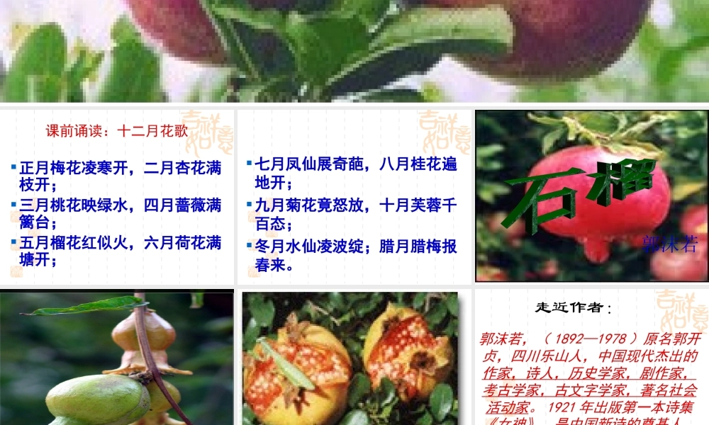 八年级语文下册石榴3课件苏教版 课件