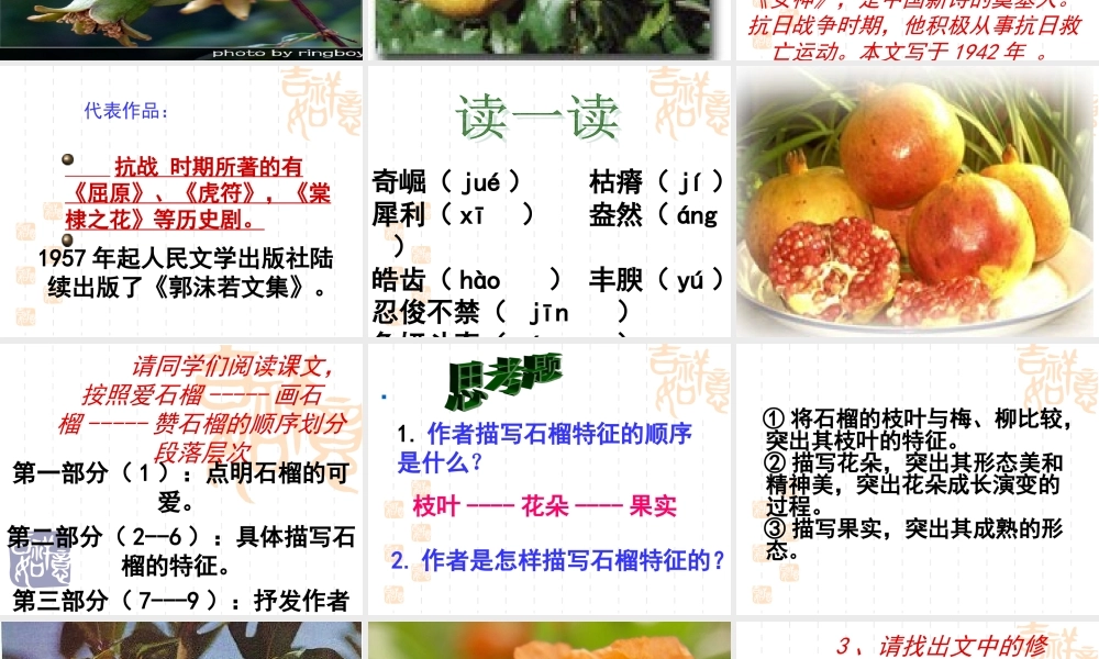 八年级语文下册石榴3课件苏教版 课件