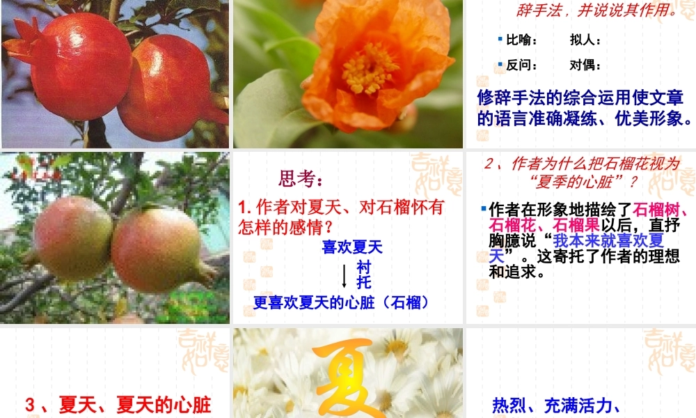 八年级语文下册石榴3课件苏教版 课件