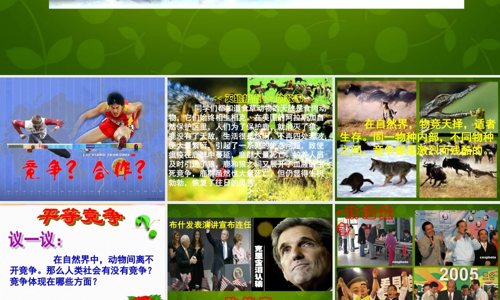 八年级政治上册 第四单元 第八课 第一框 竞争 合作课件 新人教版 课件