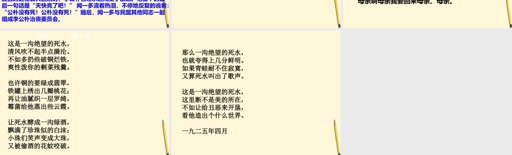 八年级语文上册 第5课(最后一次讲演)课件 北京课改版 课件