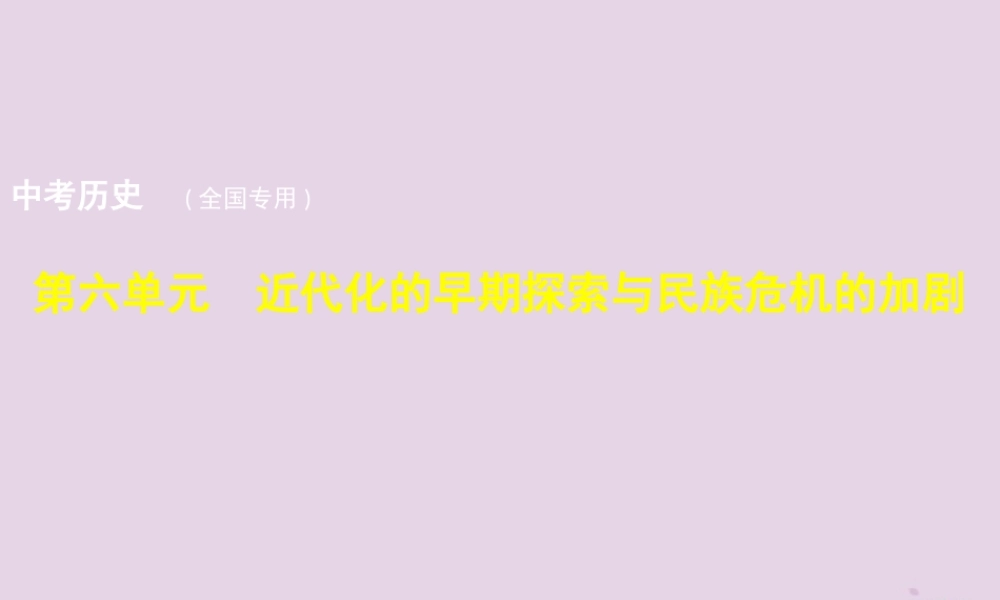 中考历史总复习 第六单元 近代化的早期探索与民族危机的加剧试题课件 新人教版 课件-2