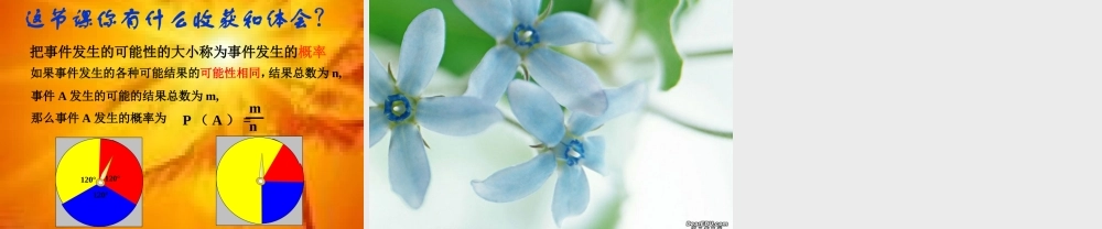 九年级数学简单事件的概率课件一 新课标 浙教版 课件