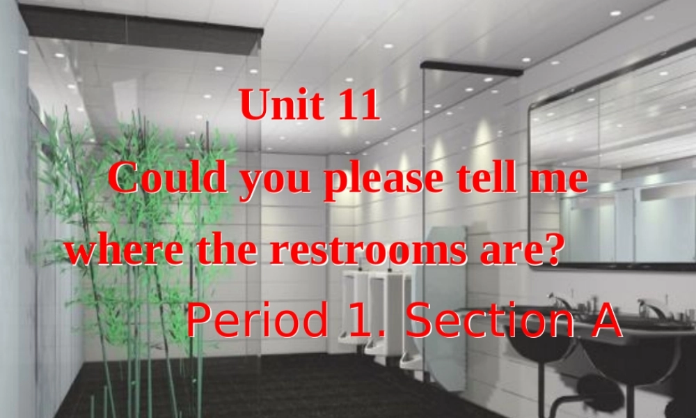 九年级英语 Unit 11SectionA课件 人教新目标版 课件