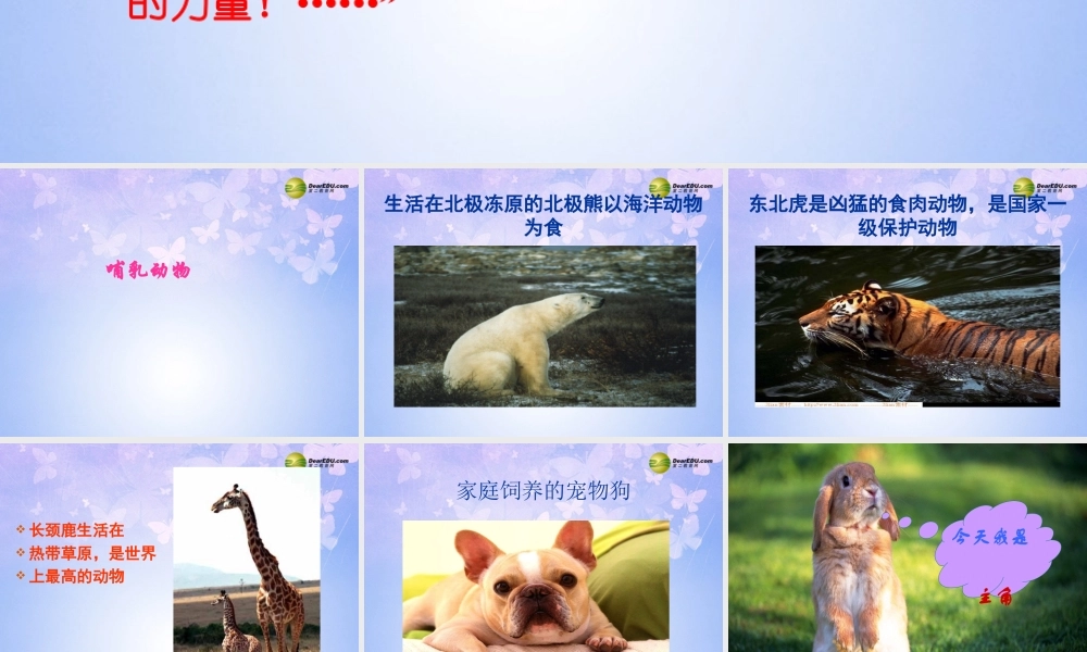 八年级生物上册 第五单元 1.7 哺乳动物课件 (新版)新人教版 课件